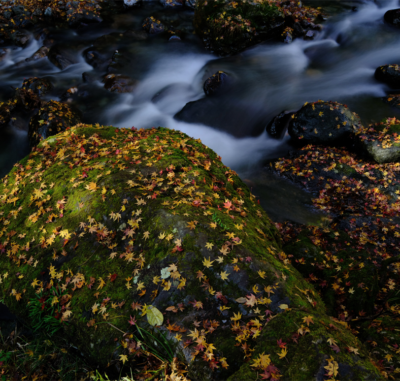 GF32-64mm F4 R LM WR